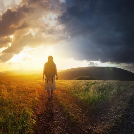 Seven Life Path You Are On