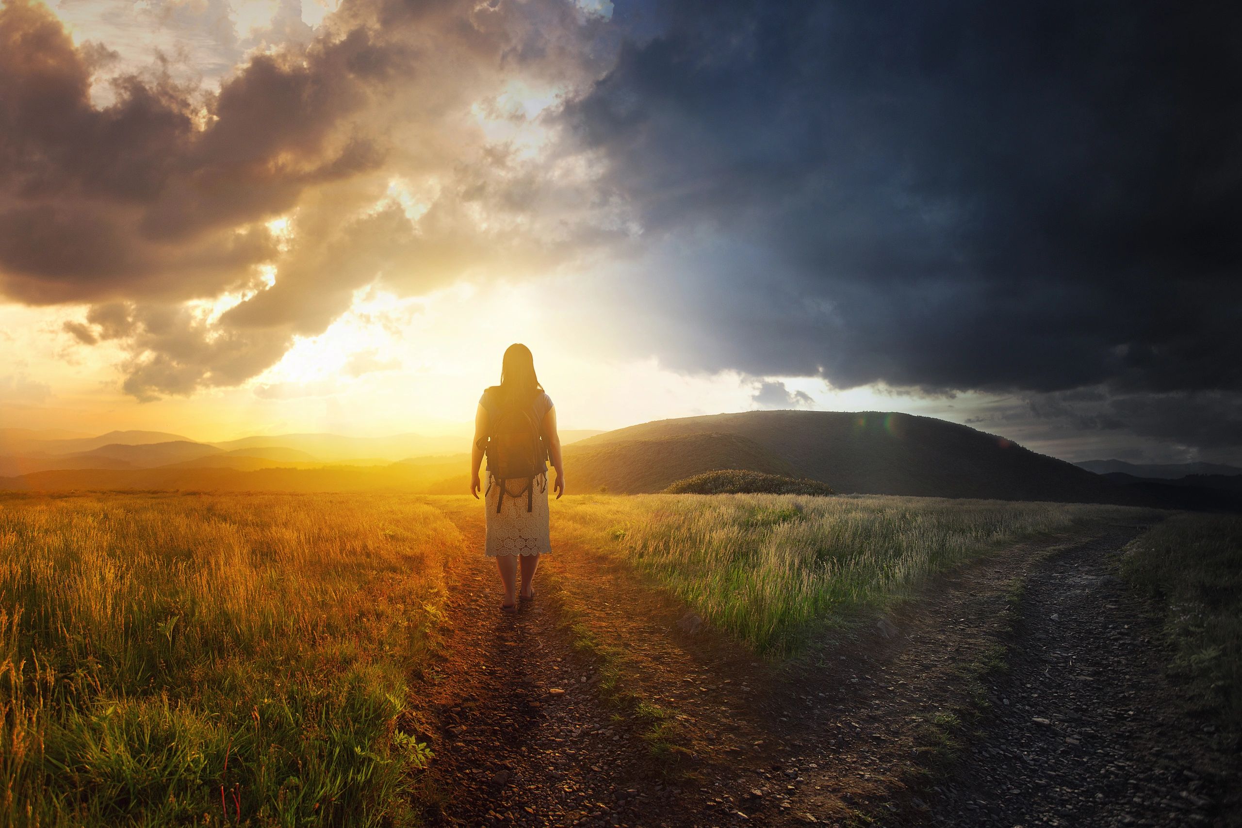 The Seven Life Path You Are On