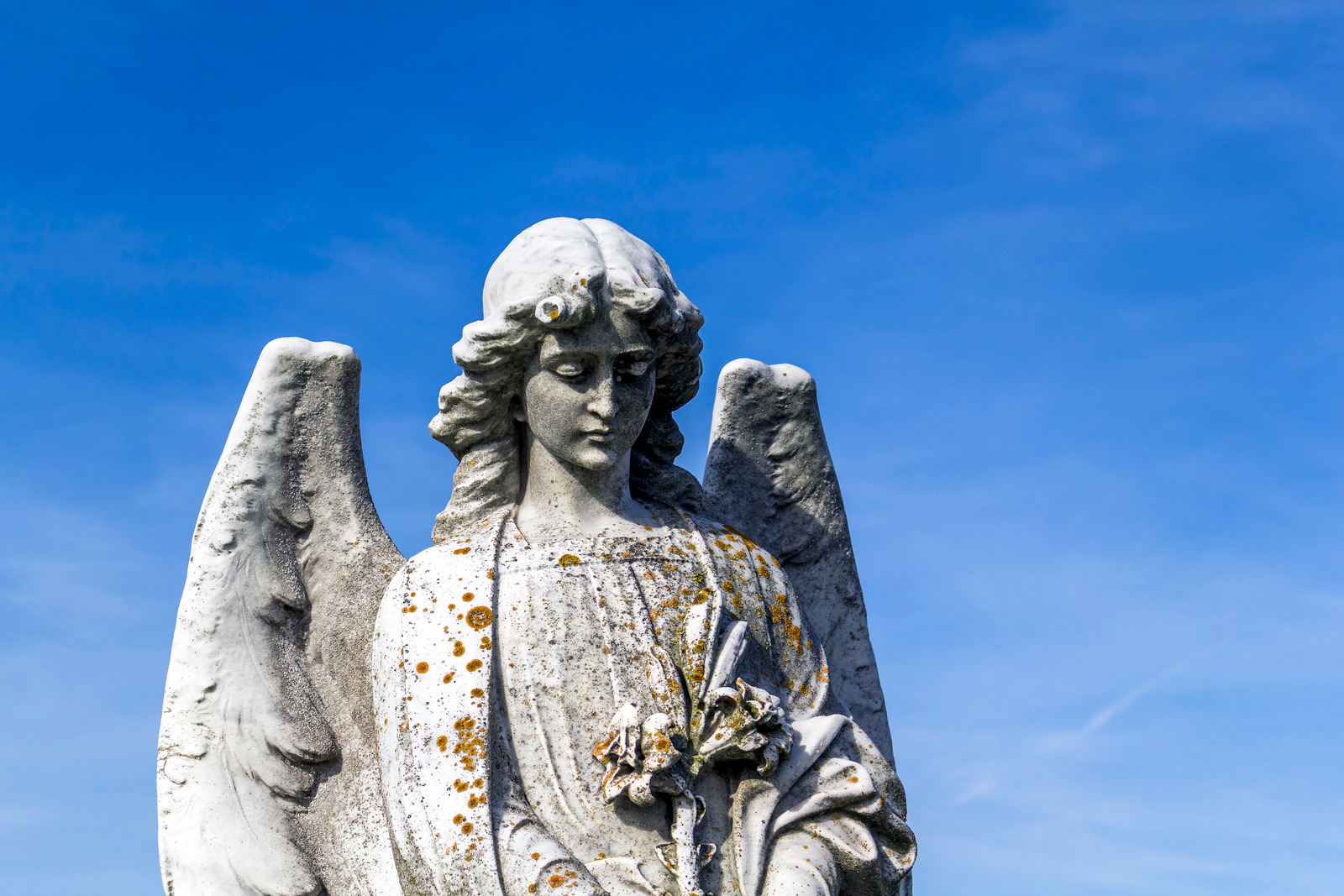 7 Powerful Ways to Speak with Your Guardian Angels